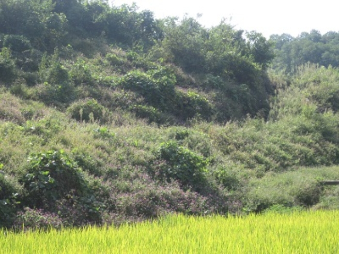 서산지원 2014타경13599-1 사진