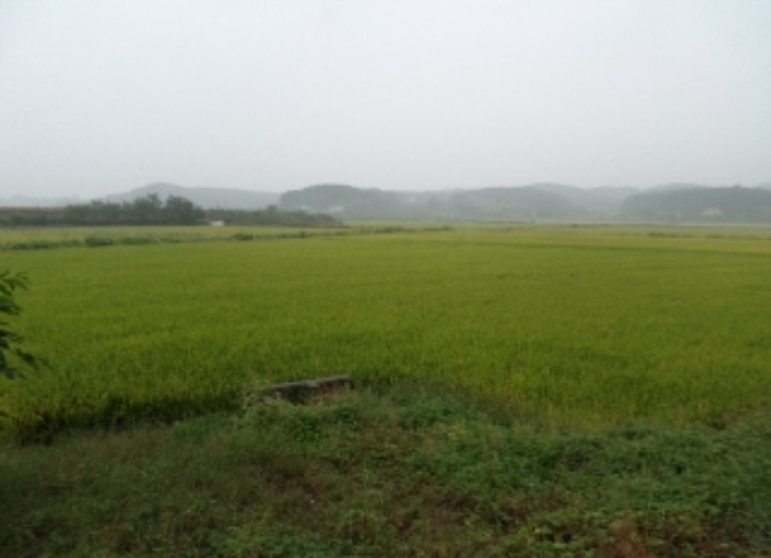 서산지원 2014타경13773-1 사진