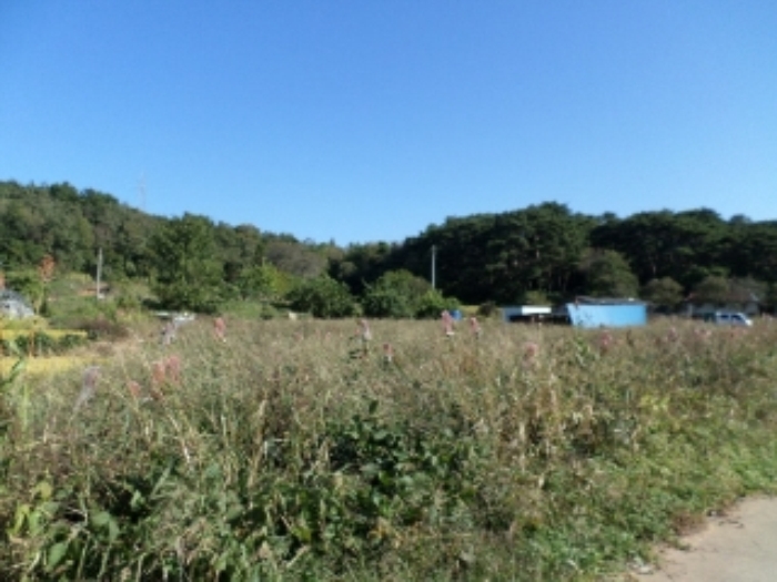 서산지원 2014타경14103-1 사진