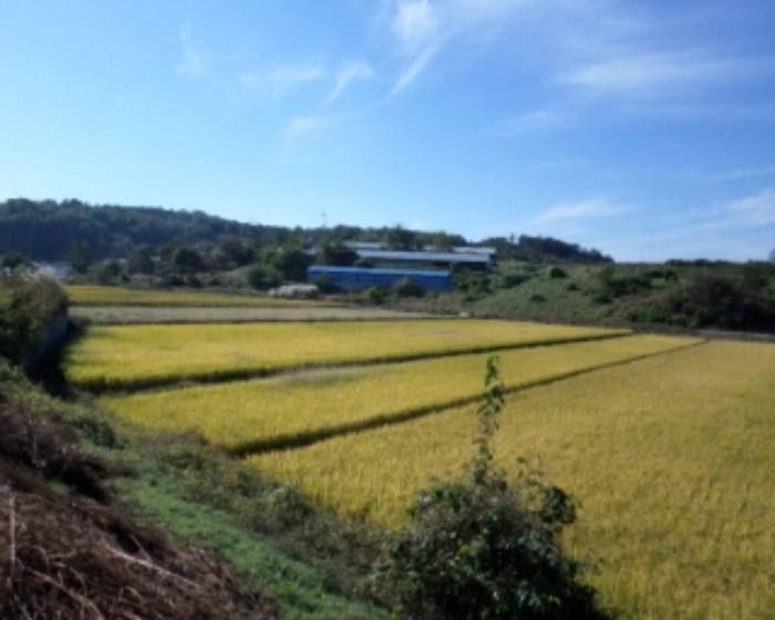 서산지원 2014타경14332-2 사진