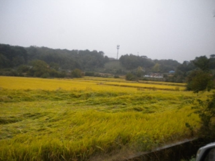 서산지원 2014타경14622-1 사진