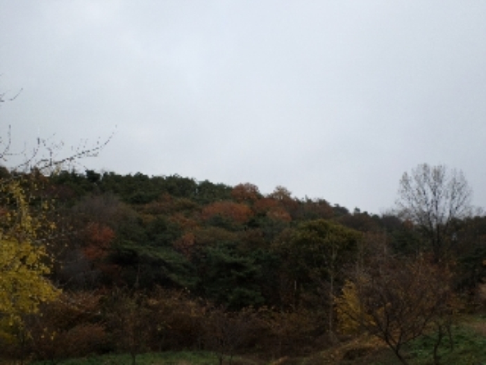 서산지원 2014타경15892-1 사진