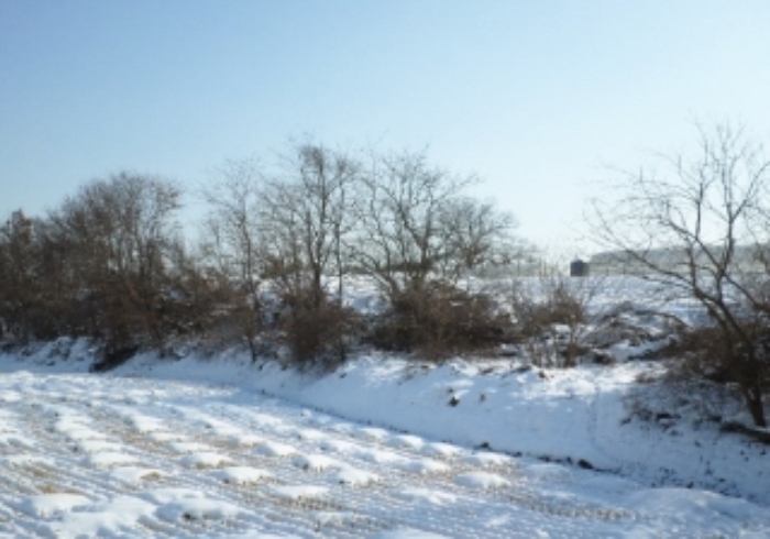 서산지원 2014타경15977-1 사진