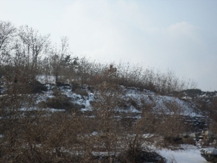 서산지원 2015타경552-1 사진