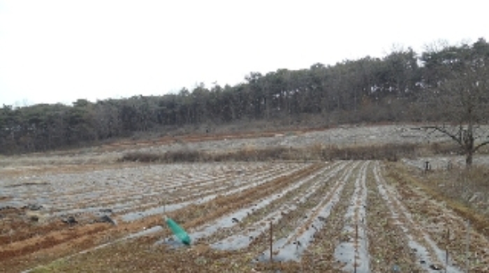 서산지원 2015타경1890-1 사진