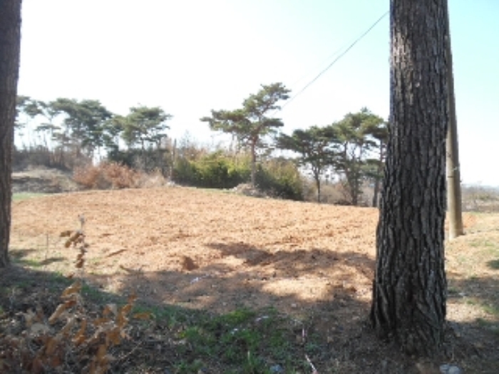 서산지원 2015타경3285-1 사진