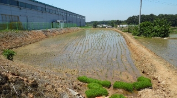 서산지원 2015타경5243-1 사진