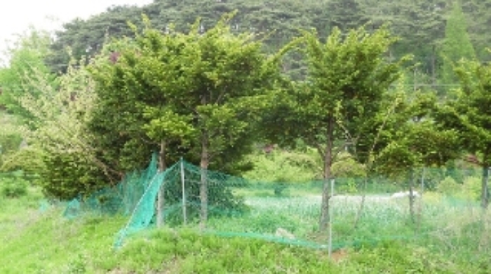 서산지원 2015타경5250-5 사진