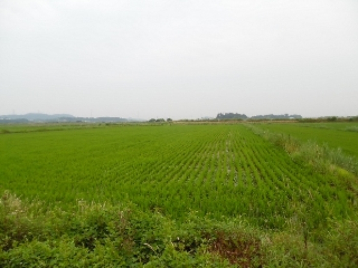 서산지원 2015타경7829-1 사진