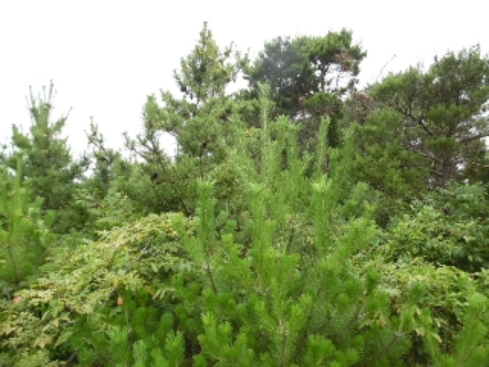 서산지원 2015타경7942-1 사진