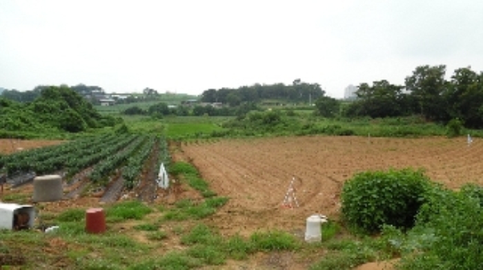 서산지원 2015타경8785-1 사진