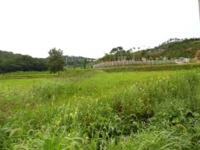 서산지원 2015타경9474-1 사진