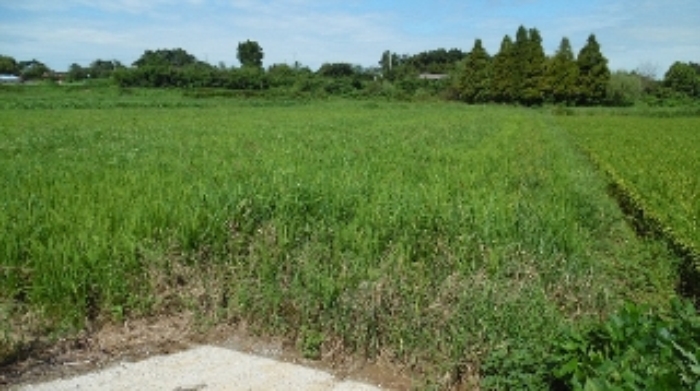 서산지원 2015타경9788-2 사진