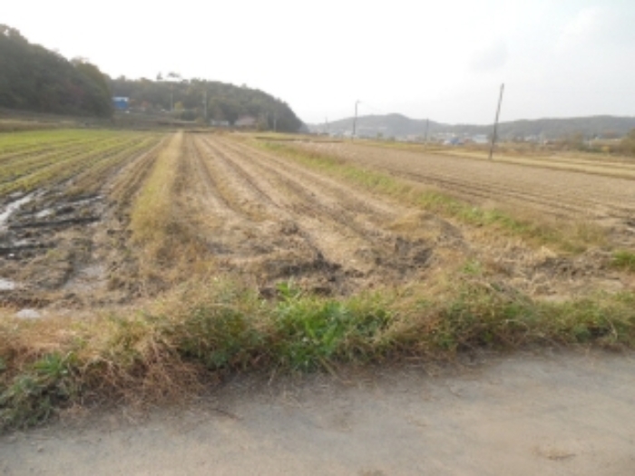 서산지원 2019타경8042-3 사진