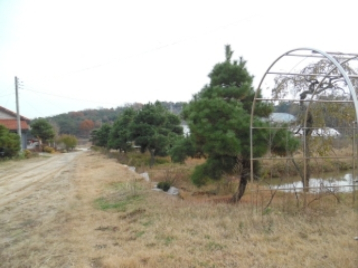 서산지원 2019타경9038-1 사진
