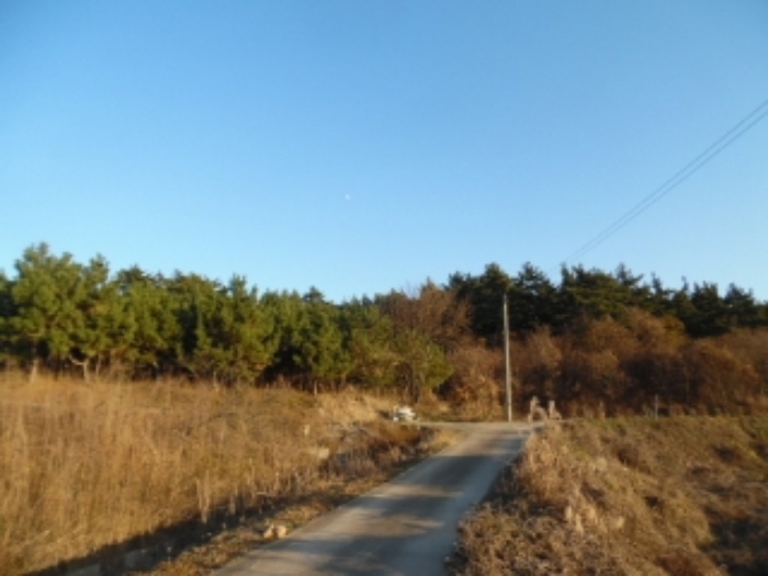서산지원 2019타경9557-1 사진