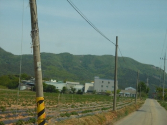 서산지원 2019타경51985-1 사진