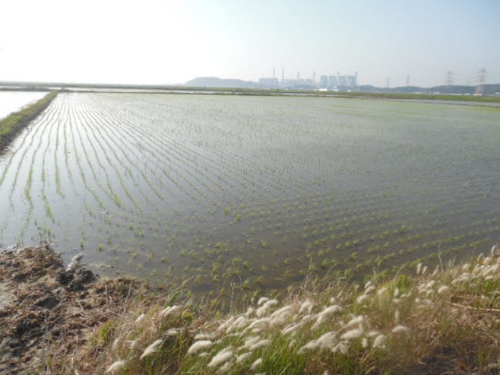 서산지원 2020타경3111-1 사진