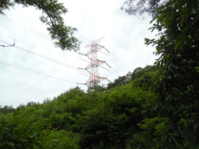 서산지원 2020타경3746-1 사진
