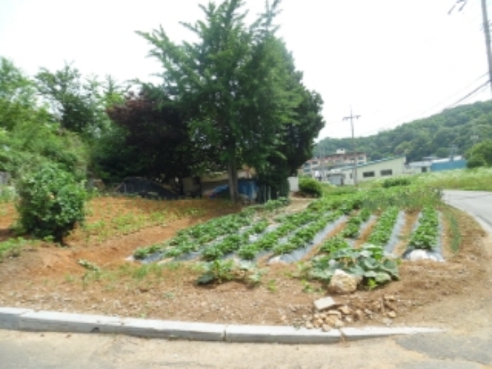 서산지원 2020타경3784-1 사진