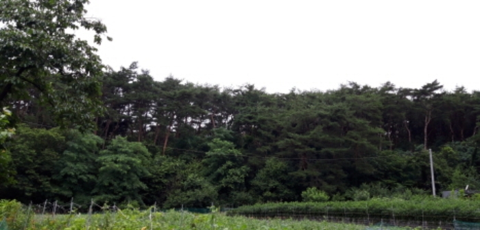 서산지원 2020타경4213-1 사진