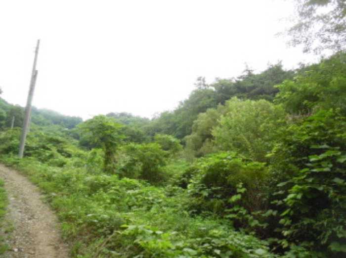 서산지원 2020타경4510-1 사진