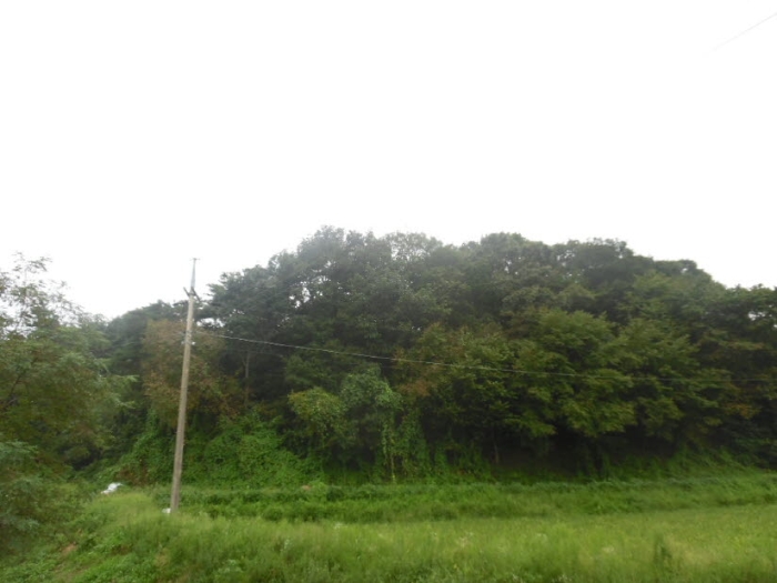 서산지원 2020타경5216-1 사진