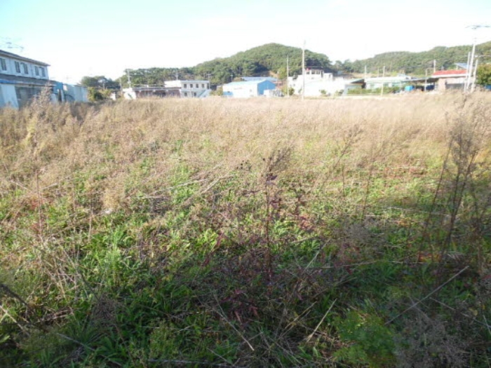 서산지원 2020타경6073-2 사진