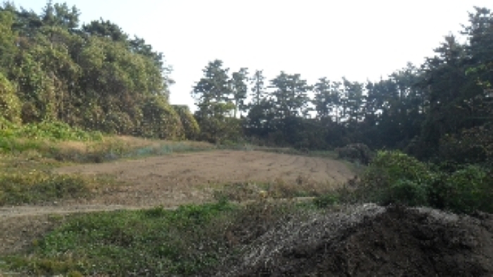 서산지원 2020타경6523-1 사진