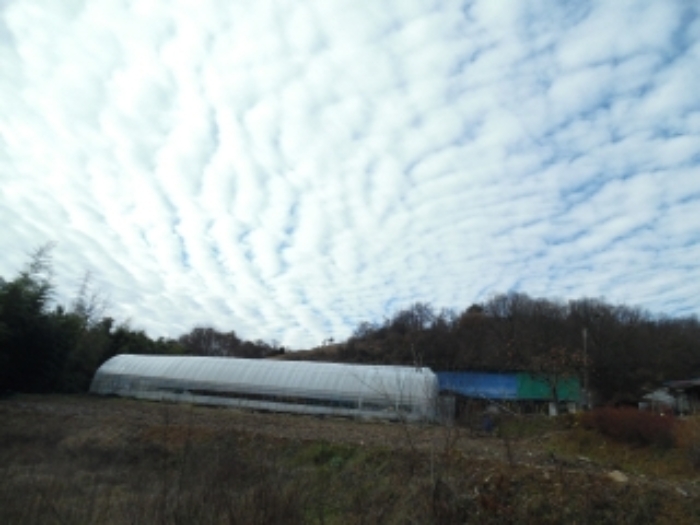 서산지원 2020타경7076-1 사진