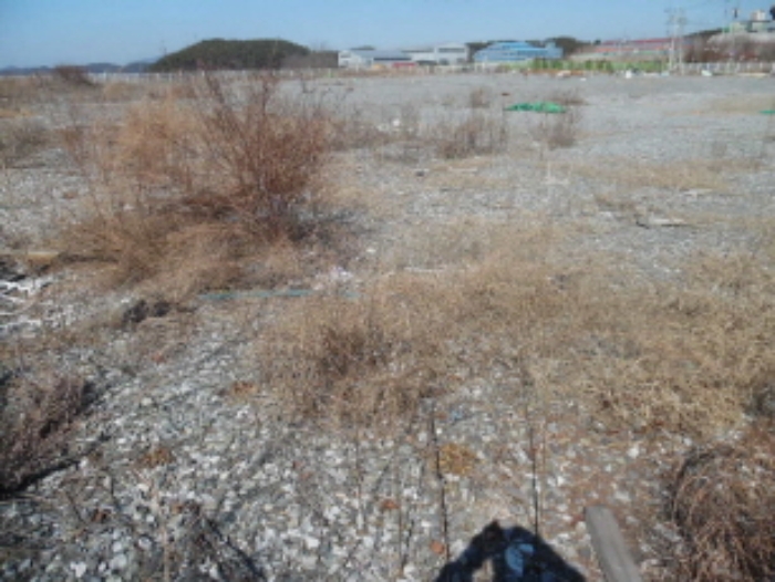 서산지원 2020타경51264-1 사진