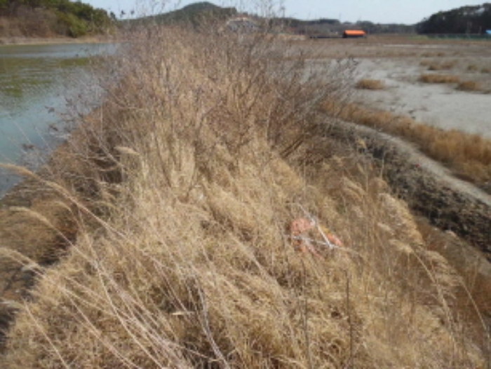 서산지원 2020타경51370-1 사진