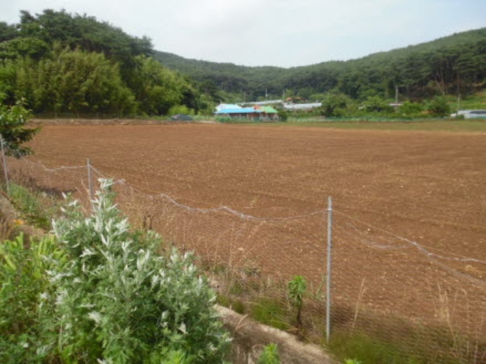 서산지원 2020타경51578-1 사진