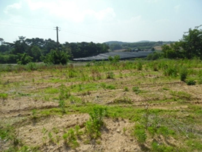 서산지원 2020타경53000-2 사진