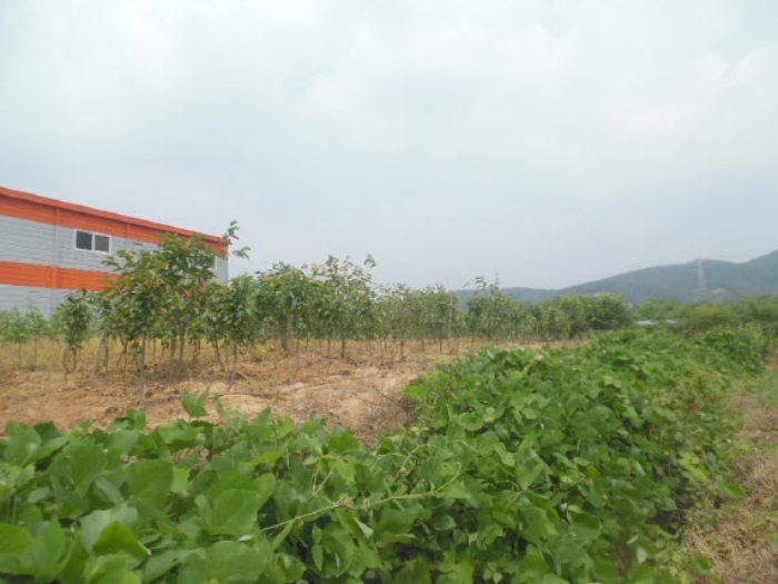 서산지원 2020타경53154-1 사진