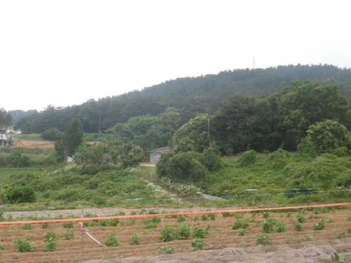 서산지원 2020타경53499-1 사진
