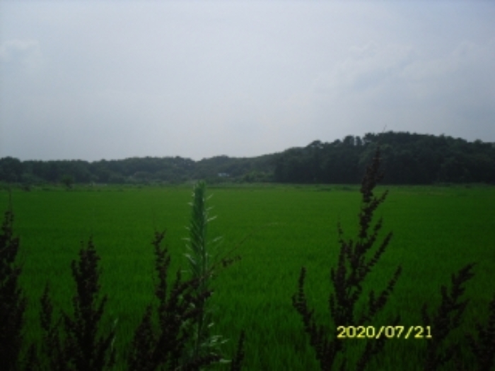 서산지원 2020타경53949-1 사진
