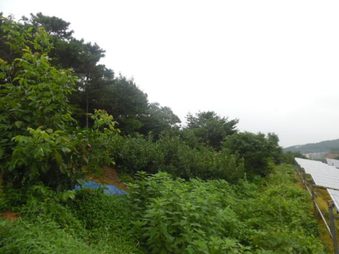서산지원 2020타경54140-1 사진