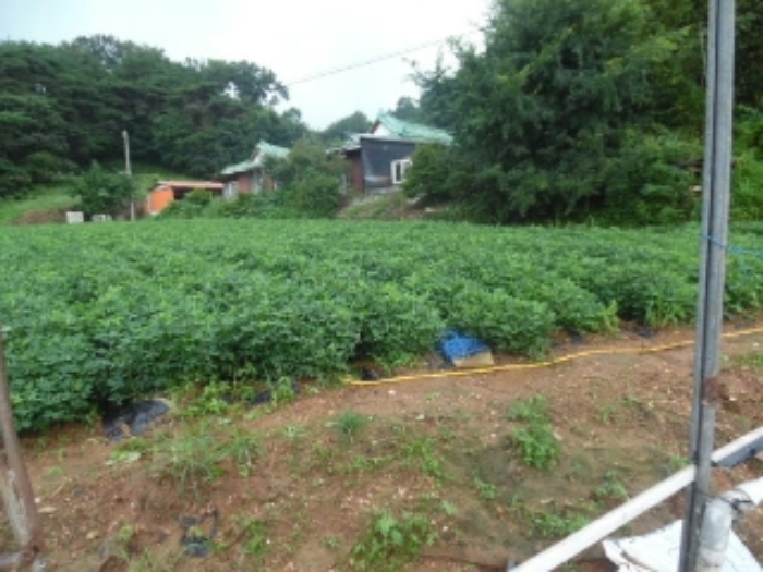 서산지원 2020타경54416-1 사진