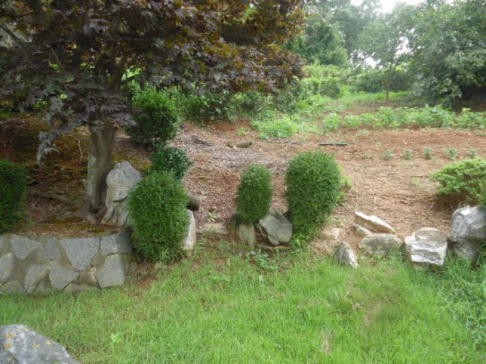 서산지원 2020타경54430-2 사진