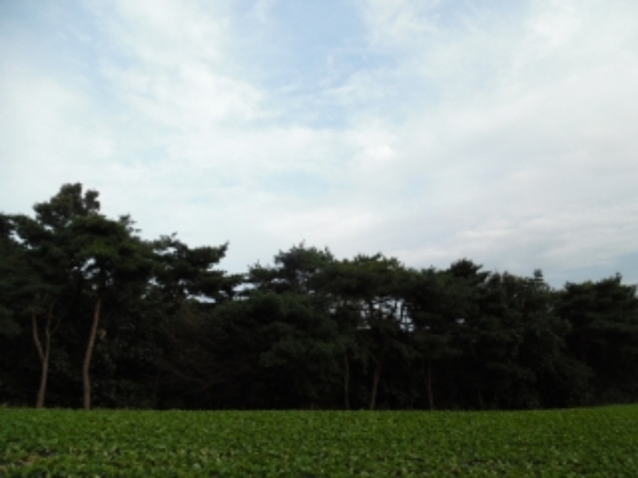 서산지원 2020타경55464-1 사진