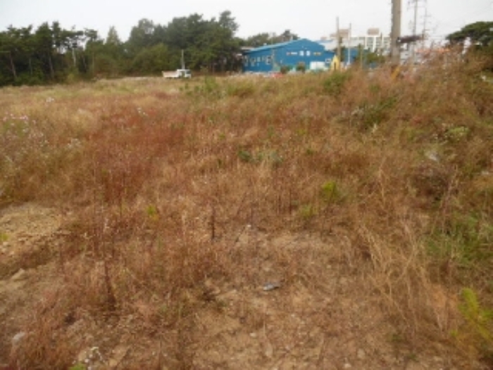 서산지원 2020타경55679-1 사진