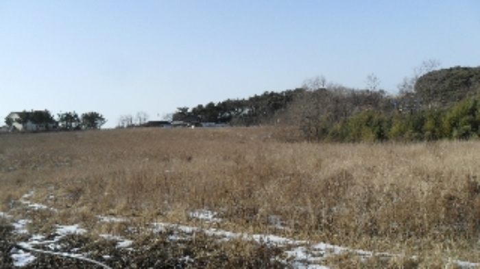 서산지원 2020타경57576-1 사진