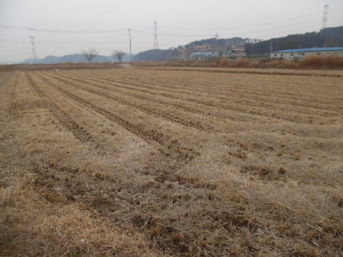서산지원 2021타경50732-1 사진