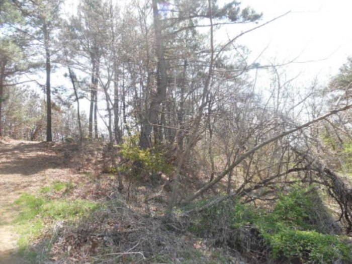 서산지원 2021타경51698-1 사진