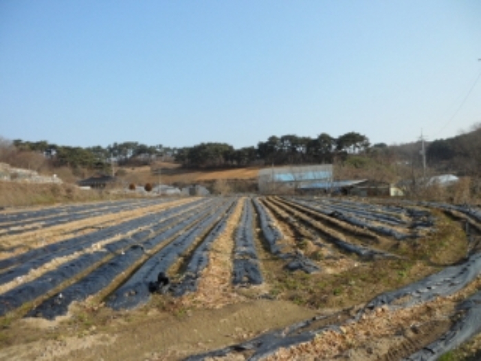 서산지원 2021타경57122-1 사진