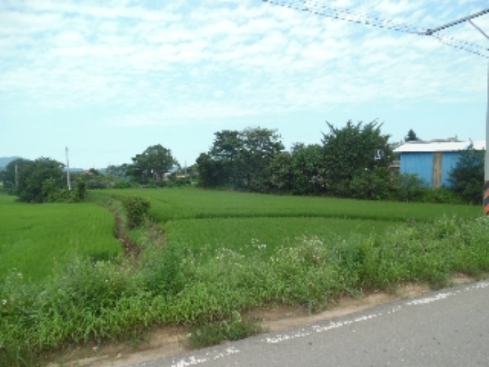 서산지원 2022타경2853-3 사진