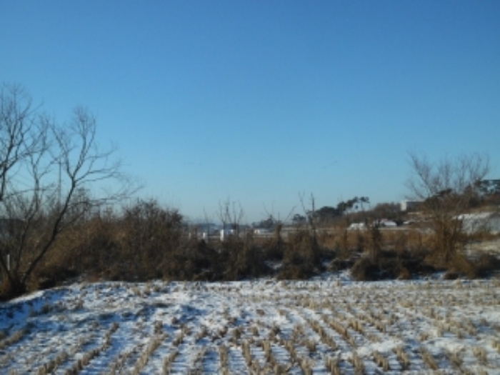 서산지원 2022타경50180-1 사진