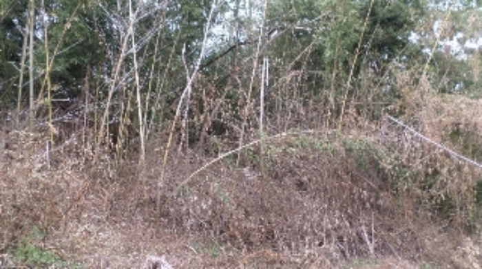 서산지원 2022타경57587-2 사진