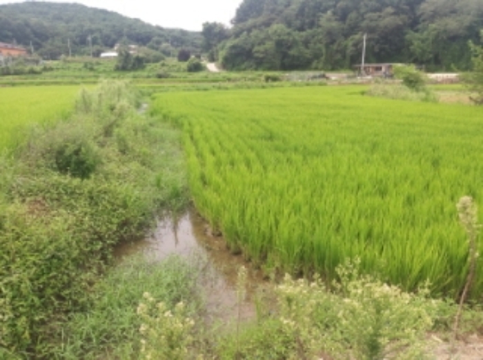 서산지원 2023타경4139-2 사진